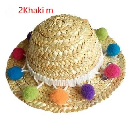Pet Glasses