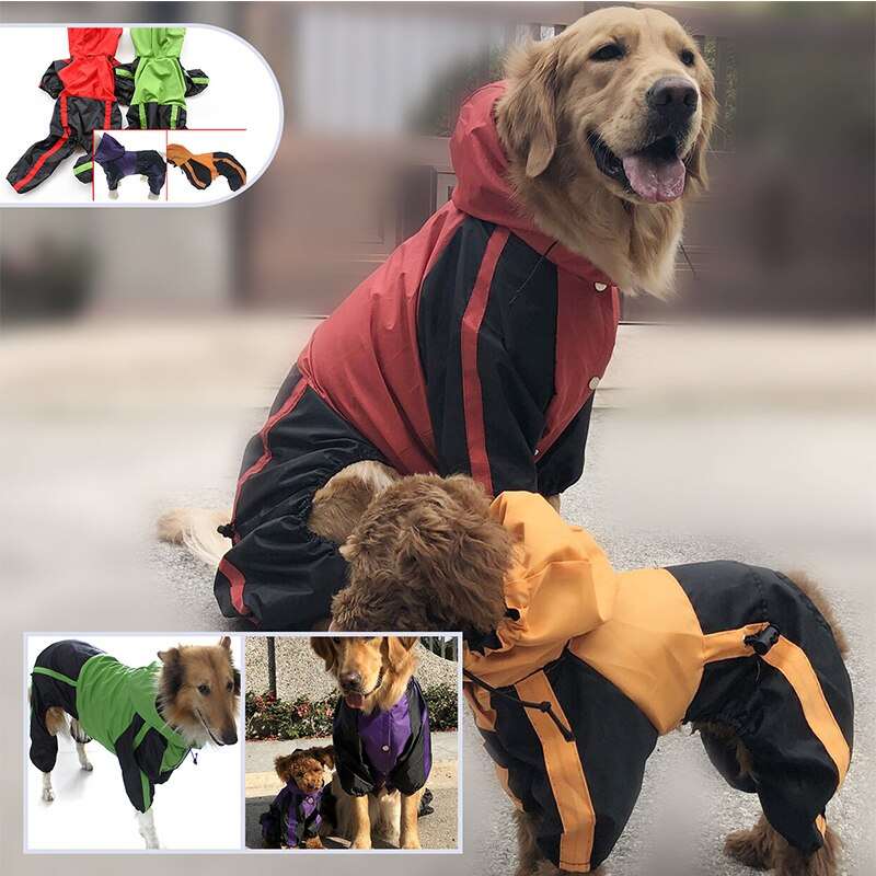 dog pet raincoat