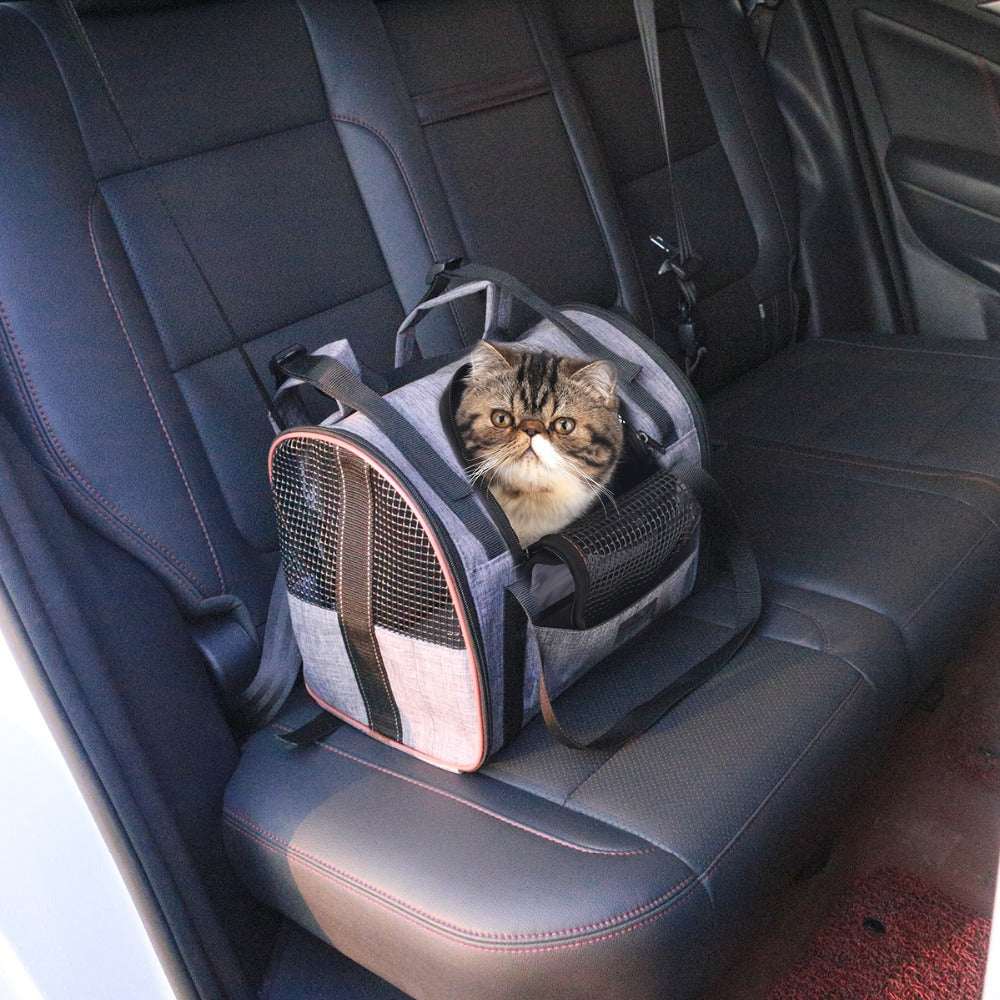 Multi-functional Folding Pet