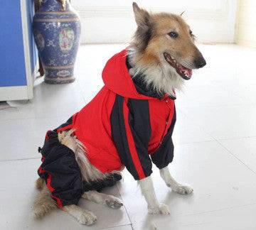 dog pet raincoat