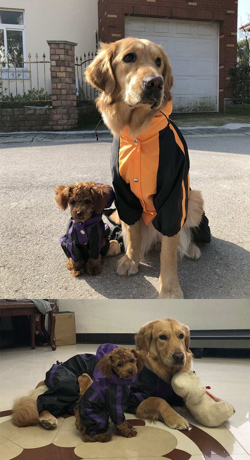 dog pet raincoat
