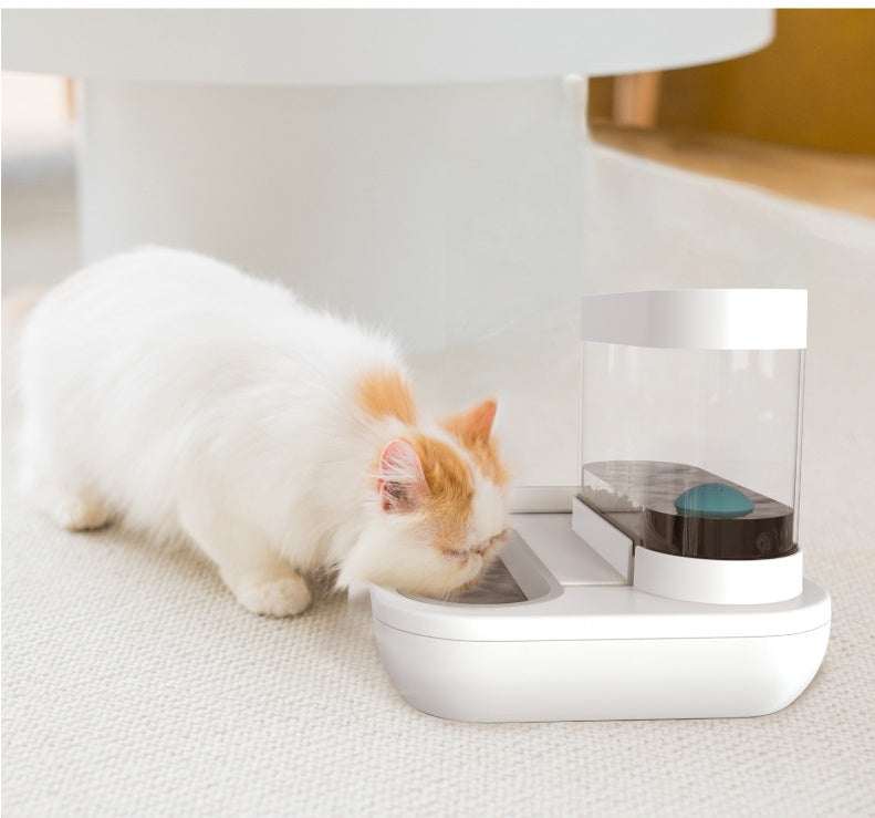 Pet Cat Bowl