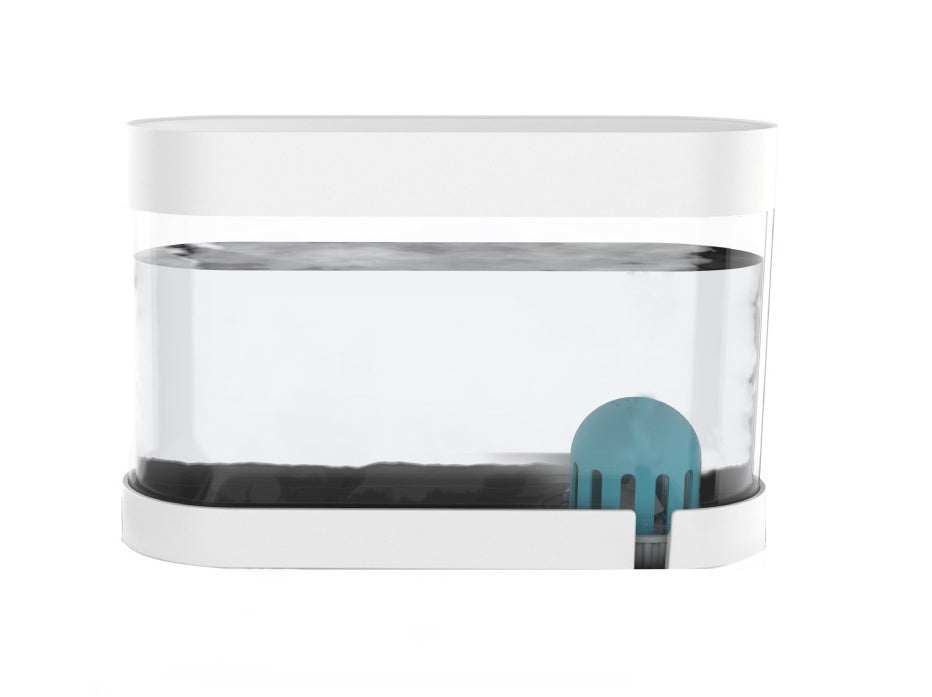 Pet Cat Bowl