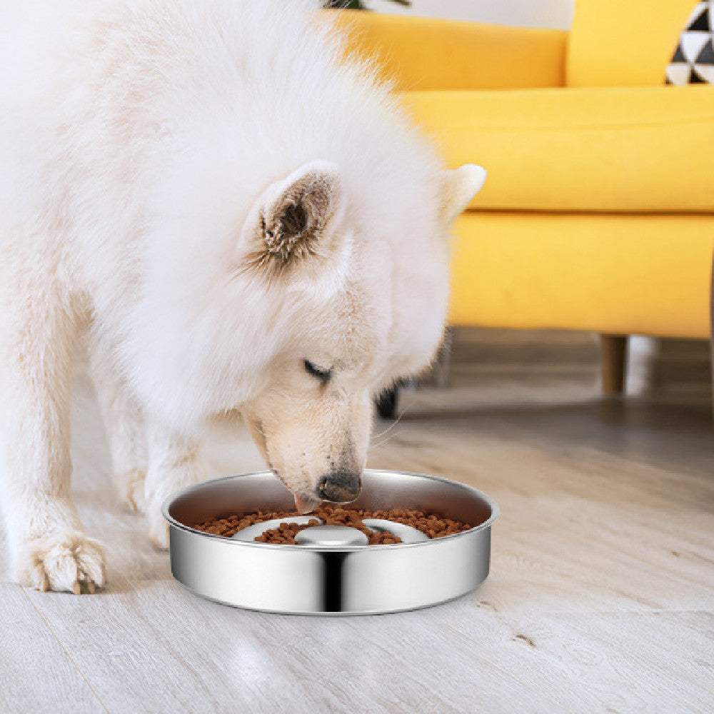 Stainless steel slow feeding bowl for pets in use by a dog, promoting healthier eating habits and reducing choking risk.
