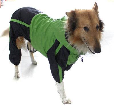 dog pet raincoat