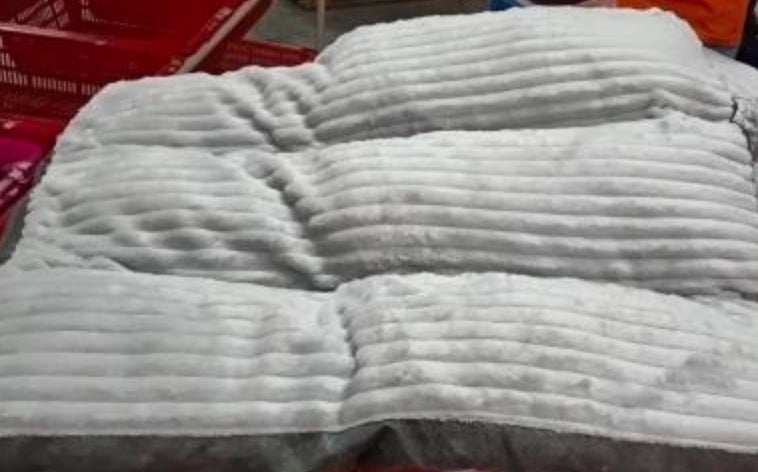 Removable And Washable Pet Products