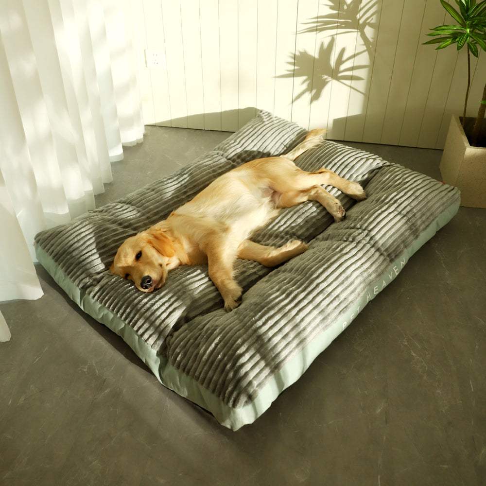 Removable And Washable Pet Products