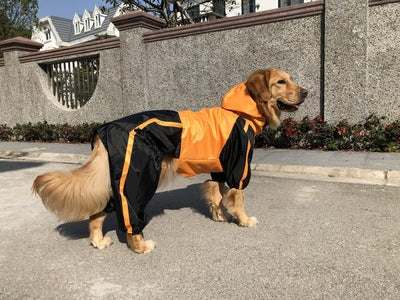 dog pet raincoat