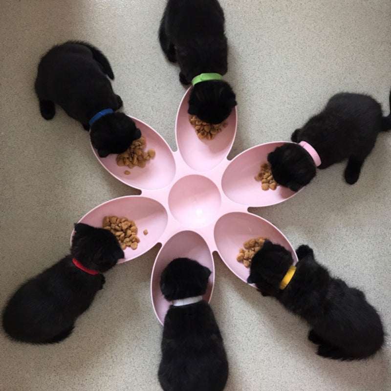 Pet dinner plate - serves pets