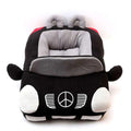 Car compartment for pet