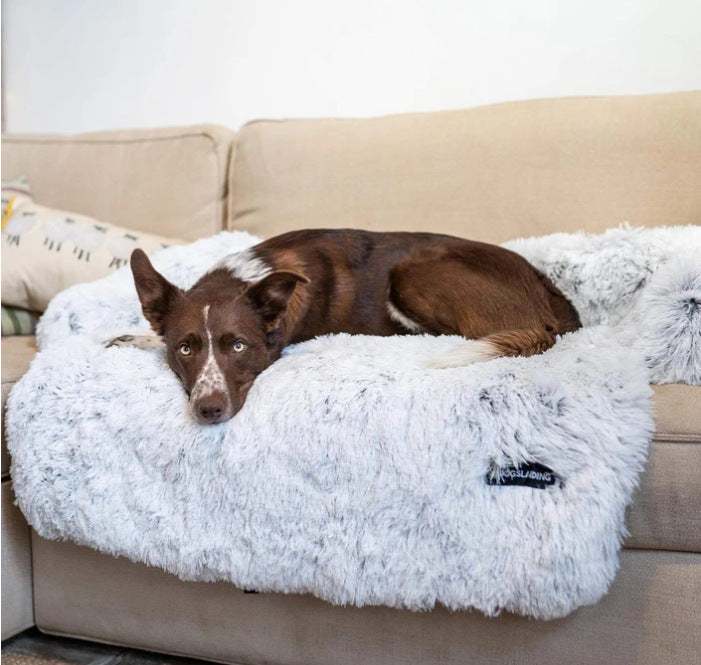 Pet Cushion