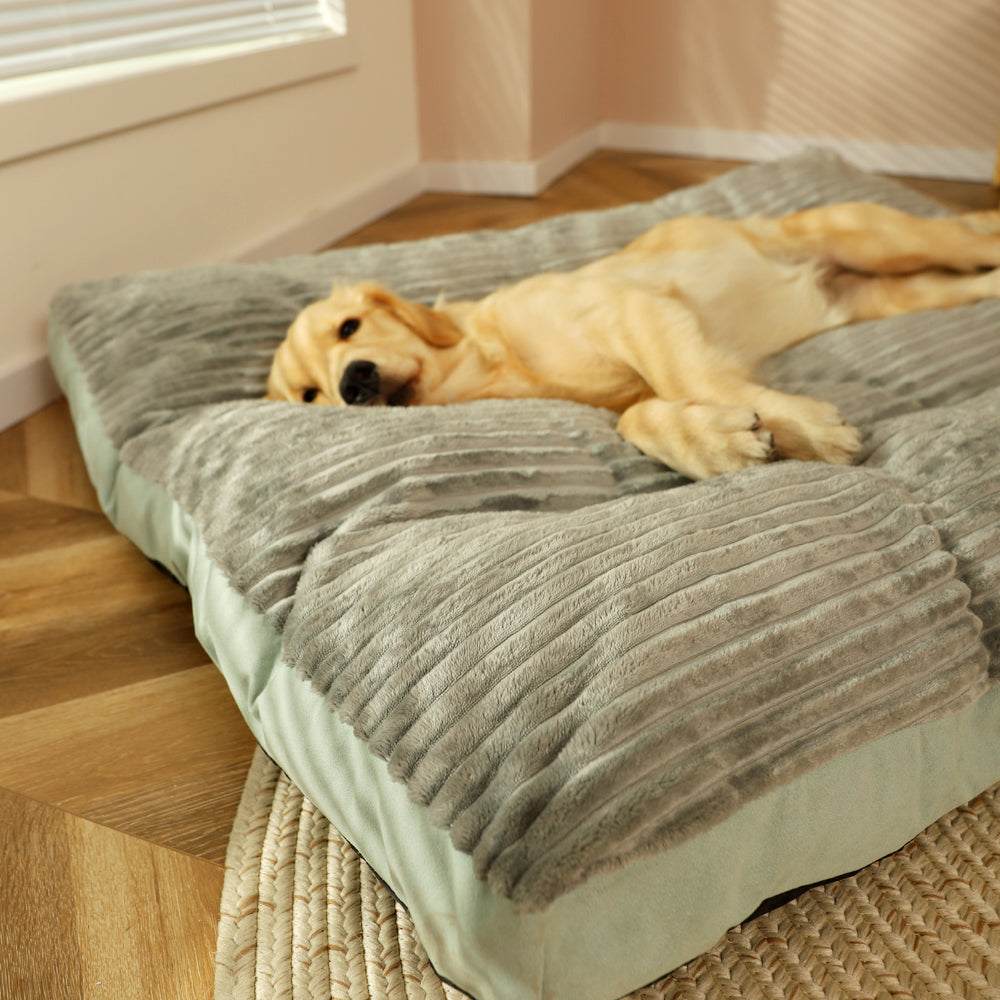 Removable And Washable Pet Products