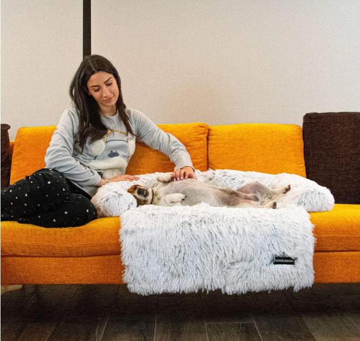 Pet Cushion
