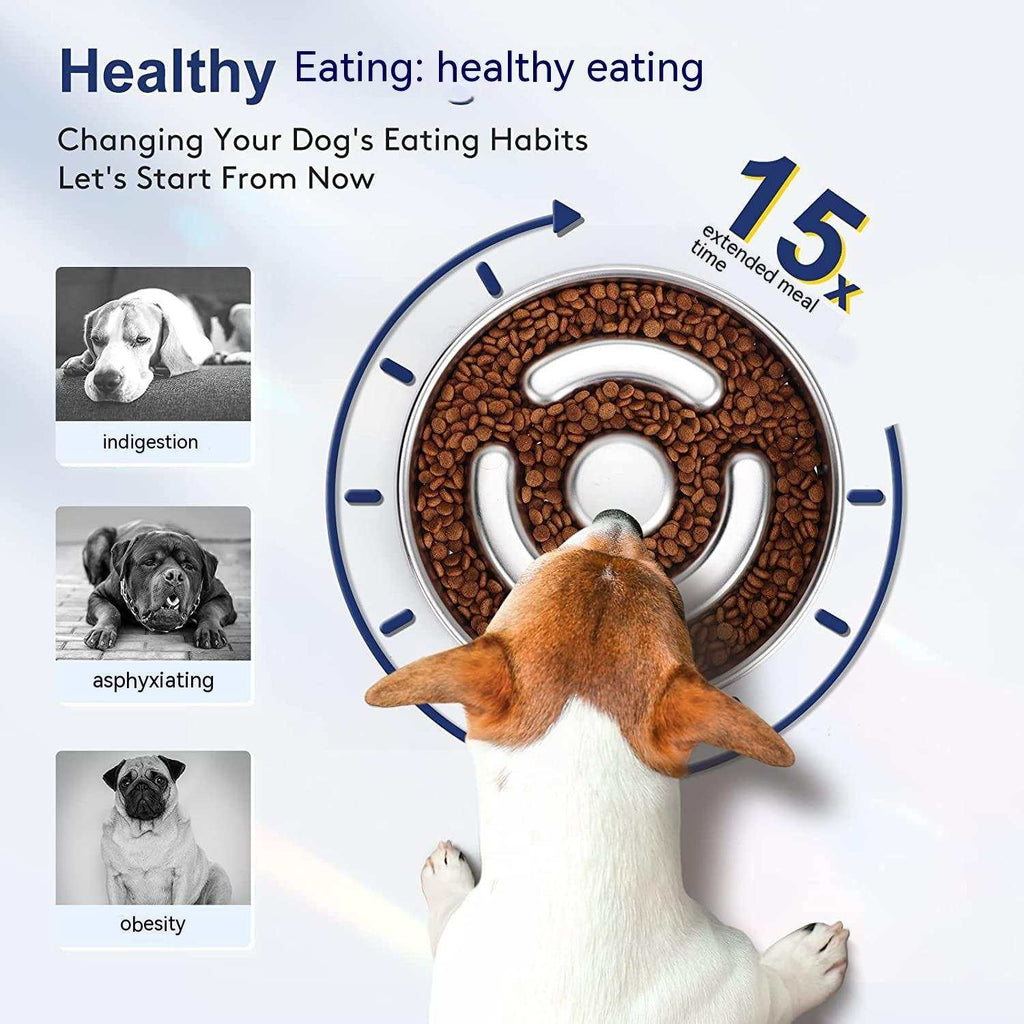 stainless steel slow feeding bowl for pets promoting healthier eating habits and reducing choking risks.