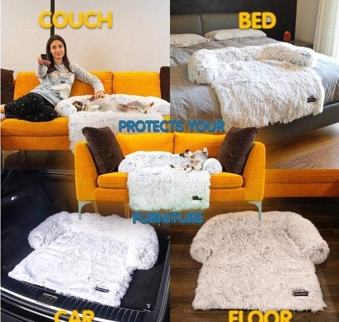 Pet Cushion