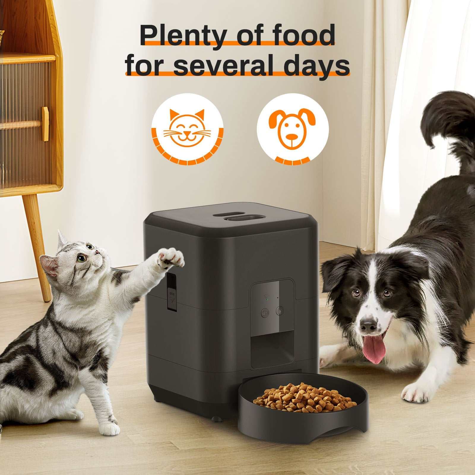 Pet Intelligent Timing