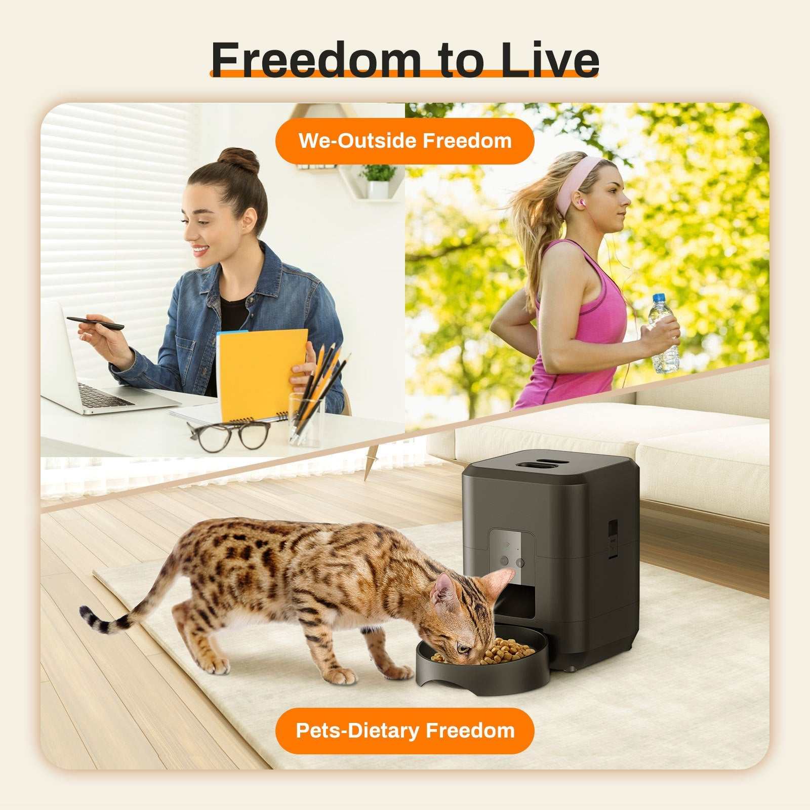 Pet Intelligent Timing