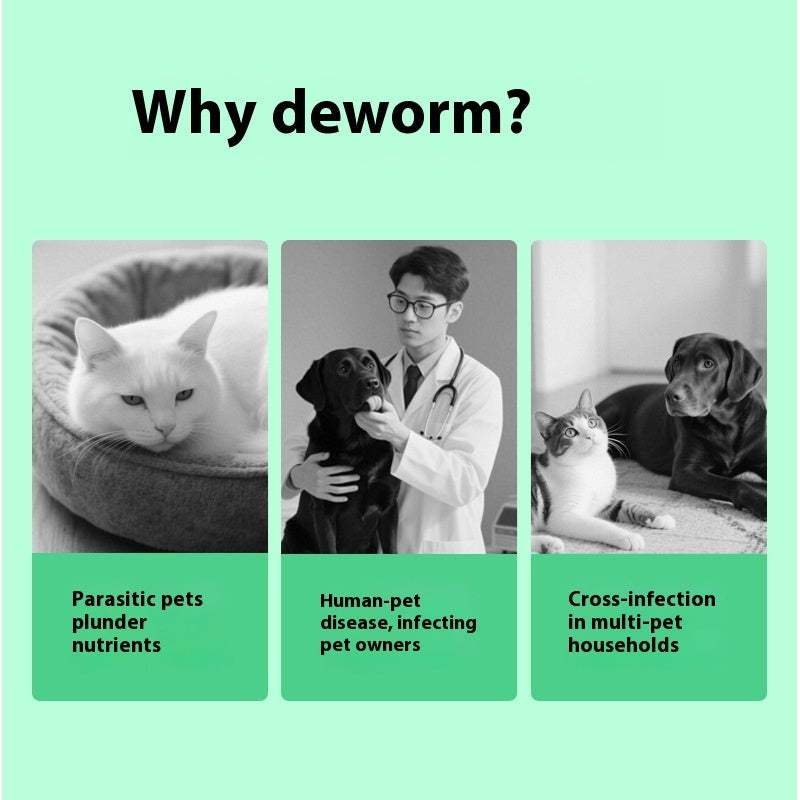 Pet Itching Relief