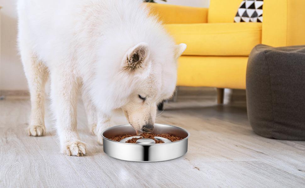stainless steel slow feeding bowl for pets with a dog eating from it in a bright living room setting